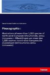 Pinacographia :