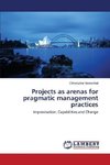 Projects as arenas for pragmatic management practices