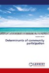 Determinants of community participation