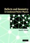 Defects and Geometry in Condensed Matter Physics