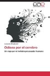 Odisea por el cerebro