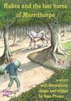 Rubin and the lost horse of Merrithorpe