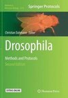 Drosophila