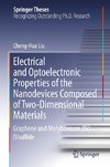 Electrical and Optoelectronic Properties of the Nanodevices Composed of Two-Dimensional Materials