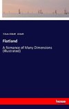 Flatland