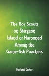 The Boy Scouts on Sturgeon Island