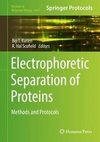 Electrophoretic Separation of Proteins