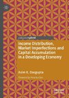 Income Distribution, Market Imperfections and Capital Accumulation in a Developing Economy