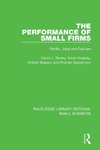 The Performance of Small Firms