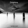 Height, H: Dolphins - Volume 3