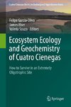 Ecosystem Ecology and Geochemistry of Cuatro Cienegas