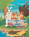 The Adventures of Flip and Flop