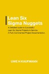 Lean Six Sigma Nuggets