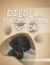 Diesel... the Little Engine That Did