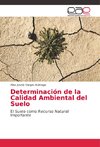 Determinación de la Calidad Ambiental del Suelo