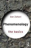 Phenomenology: The Basics