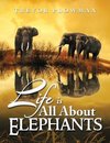 Life Is All about Elephants