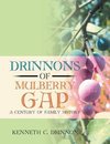 Drinnons of Mulberry Gap