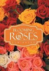 Blooming Roses