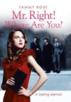 Mr. Right! Where Are You?