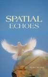 Spatial Echoes