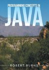 Programming Concepts In Java