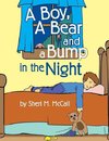 A Boy, A Bear and A Bump in the Night