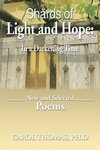 Shards of Light and Hope