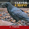 Clever Crow