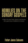 HOMILIES ON THE SUNDAY GOSPELS