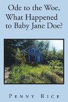 Ode to the Woe, What Happened to Baby Jane Doe?