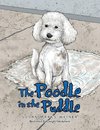 The Poodle in the Puddle