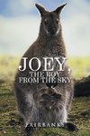 Joey, the Boy from the Sky