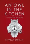 An Owl in the Kitchen