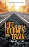 LIFE IS LIKE A JOURNEY ON A TRAIN