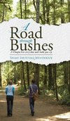 A ROAD THROUGH BUSHES