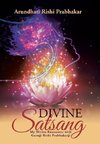 Divine Satsang