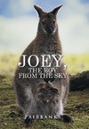 Joey, the Boy from the Sky