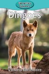 Dingoes