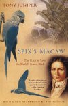 Spix's Macaw