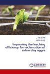 Improving the leaching efficiency for reclamation of saline clay aggre