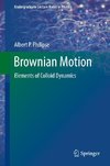 Brownian Motion