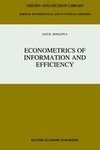 Econometrics of Information and Efficiency