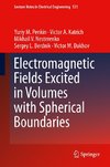 Electromagnetic Fields Excited in Volumes with Spherical Boundaries