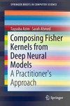 Composing Fisher Kernels from Deep Neural Models