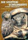 Steppenschildkröte