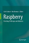 Raspberry