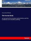 The human body