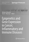 Epigenetics and Gene Expression in Cancer, Inflammatory and Immune Diseases