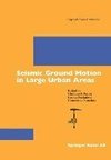 Seismic Ground Motion in Large Urban Areas